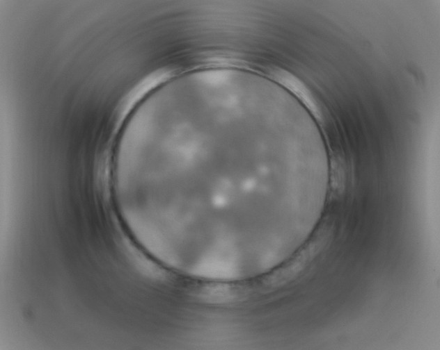 X0000113781098200910211200