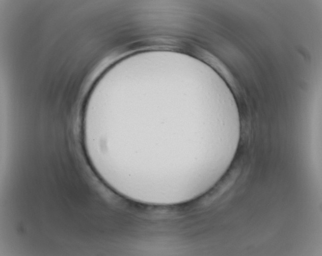 X0000113781099200910211200