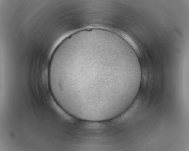 X0000113781100200910211200