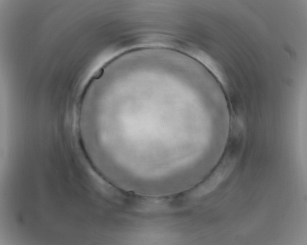 X0000113781101200910211200