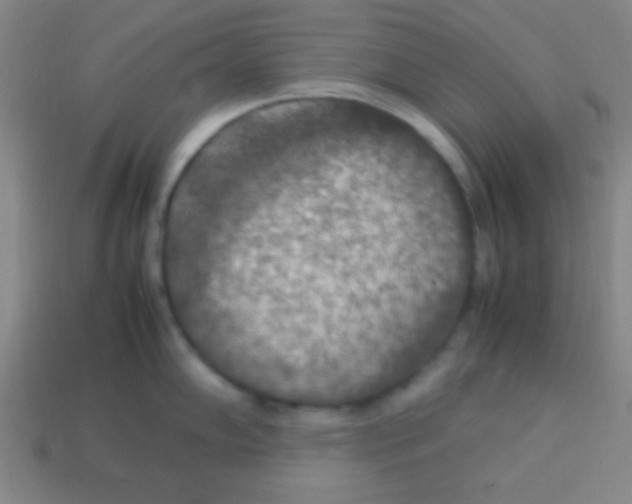 X0000113781102200910211200