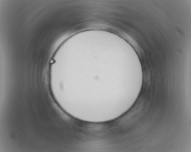 X0000113781103200910211200