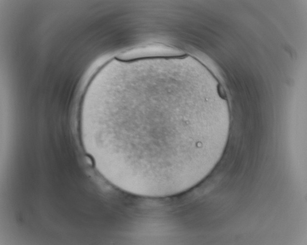 X0000113781104200910211200