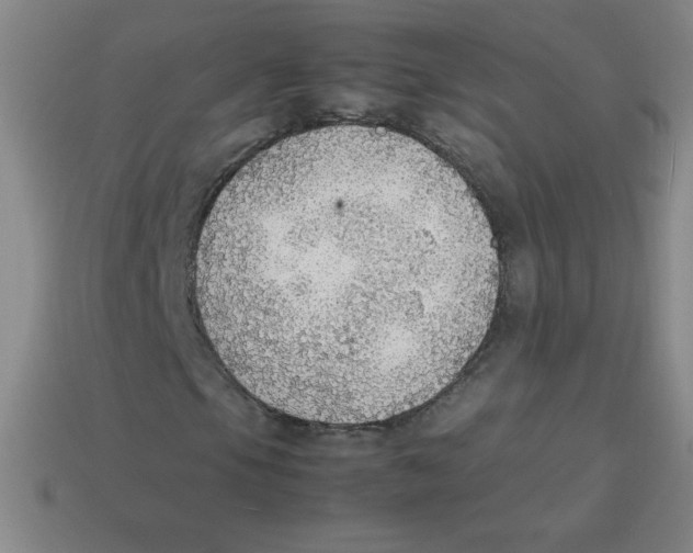 X0000113781105200910211159