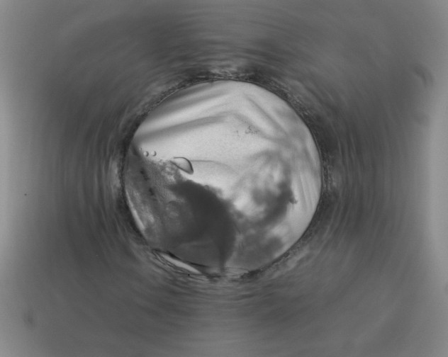 X0000113781106200910211159