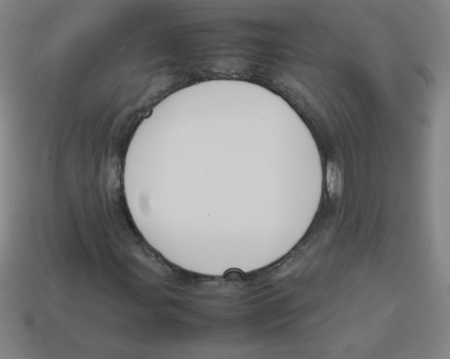 X0000113781107200910211159