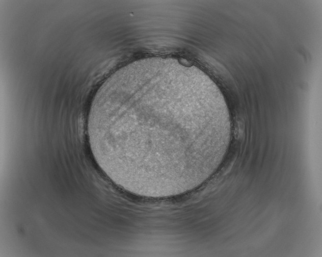 X0000113781108200910211159