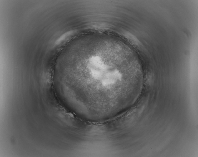 X0000113781110200910211159