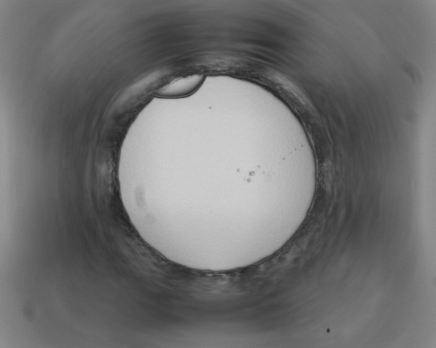 X0000113781111200910211159