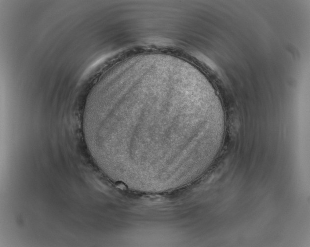 X0000113781112200910211159