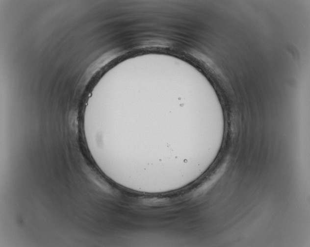 X0000113781113200910211159