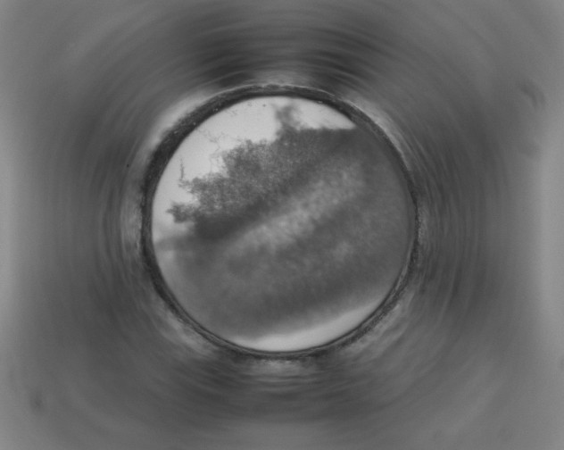 X0000113781115200910211159