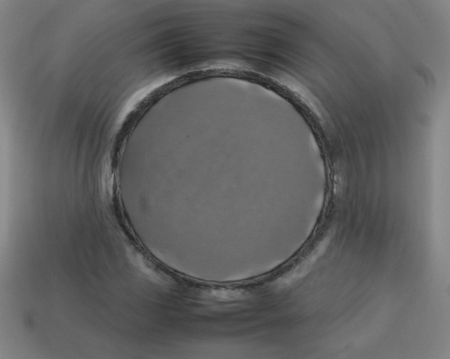 X0000113781117200910211200