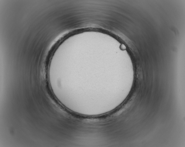 X0000113781118200910211200