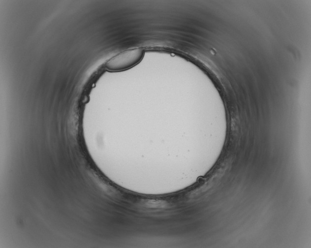 X0000113781119200910211200