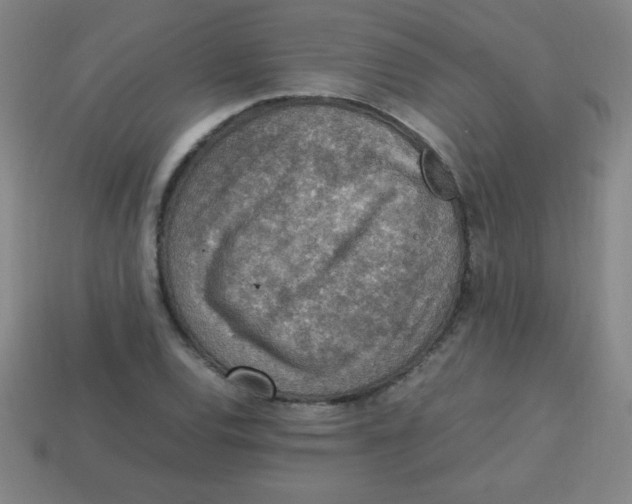 X0000113781120200910211200