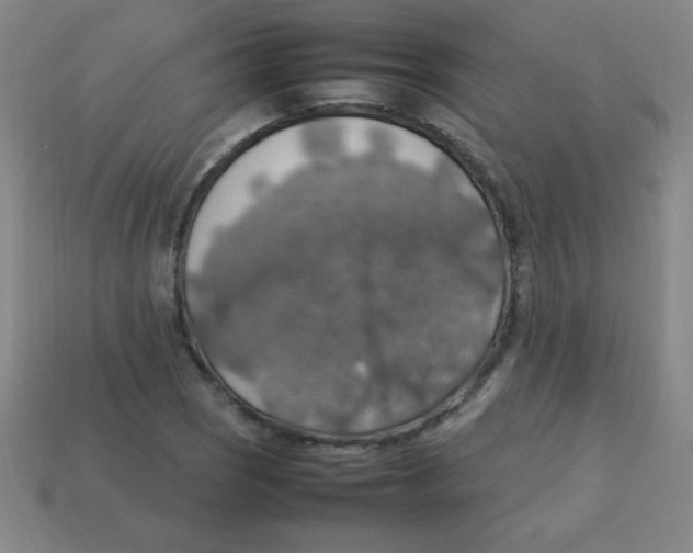 X0000113781121200910211200