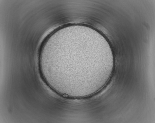 X0000113781122200910211200