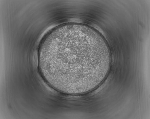 X0000113781123200910211200