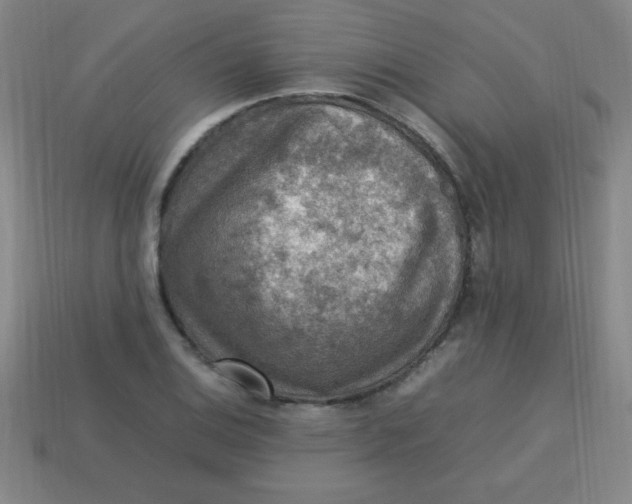 X0000113781124200910211200