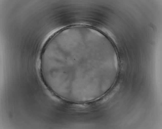 X0000113781125200910211200