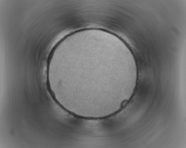 X0000113781126200910211200