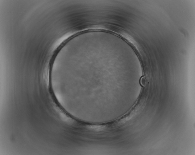 X0000113781127200910211200