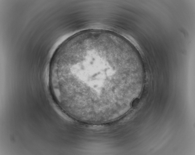 X0000113781128200910211200