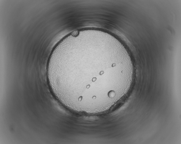 X0000113781129200910211200