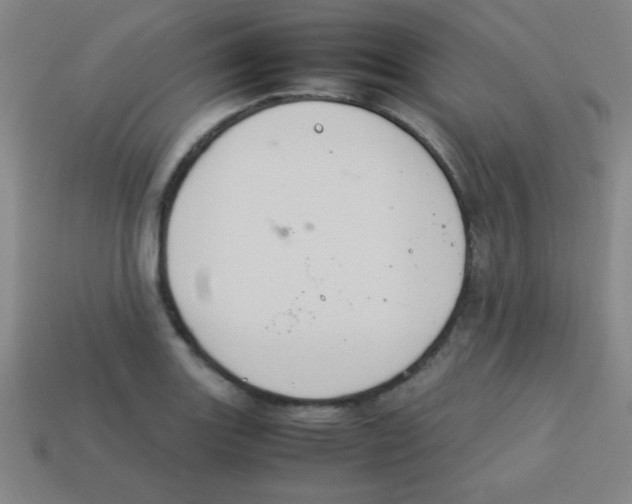 X0000113781131200910211200