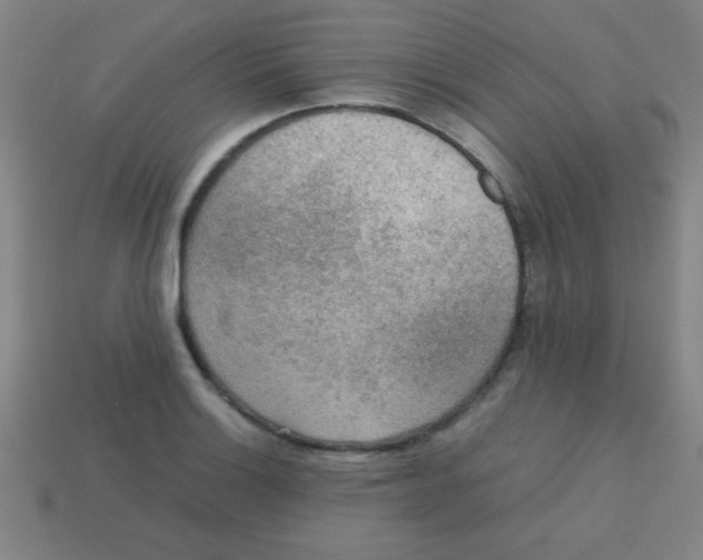 X0000113781132200910211200