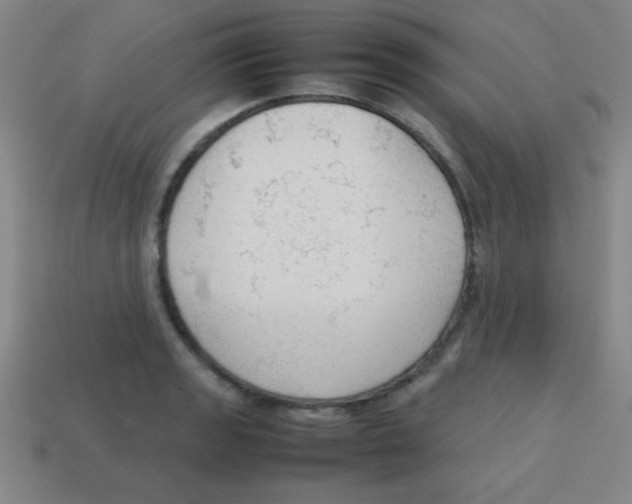 X0000113781133200910211200