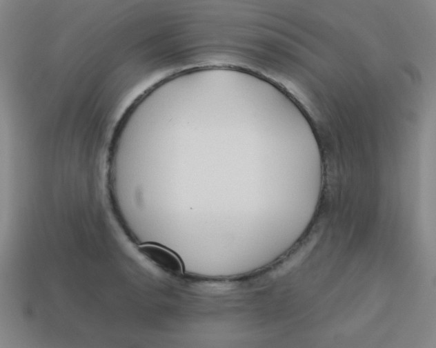 X0000113781134200910211200