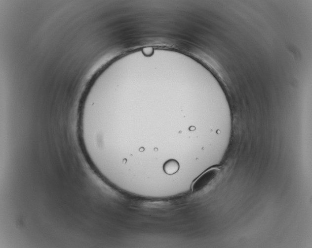 X0000113781135200910211200