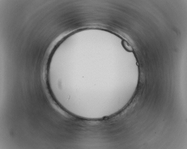 X0000113781136200910211200