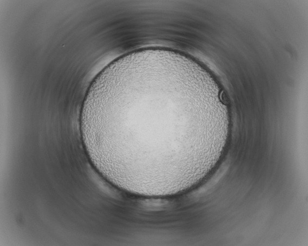 X0000113781137200910211200