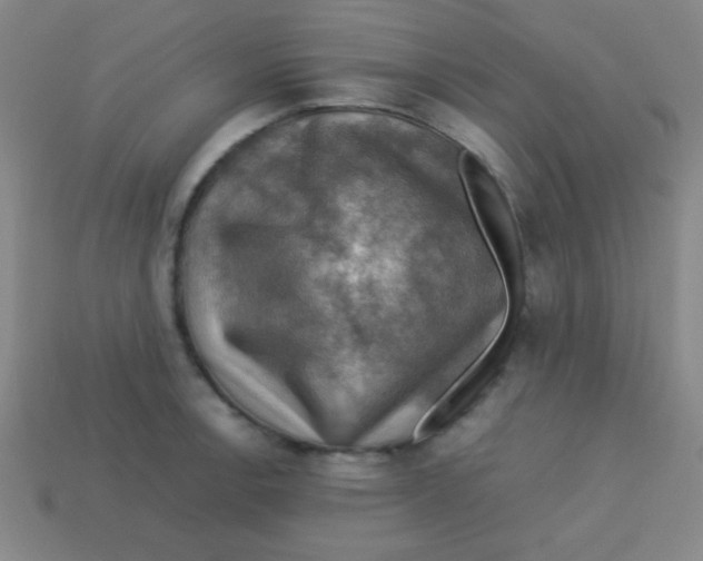 X0000113781138200910211200