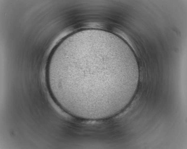 X0000113781139200910211200