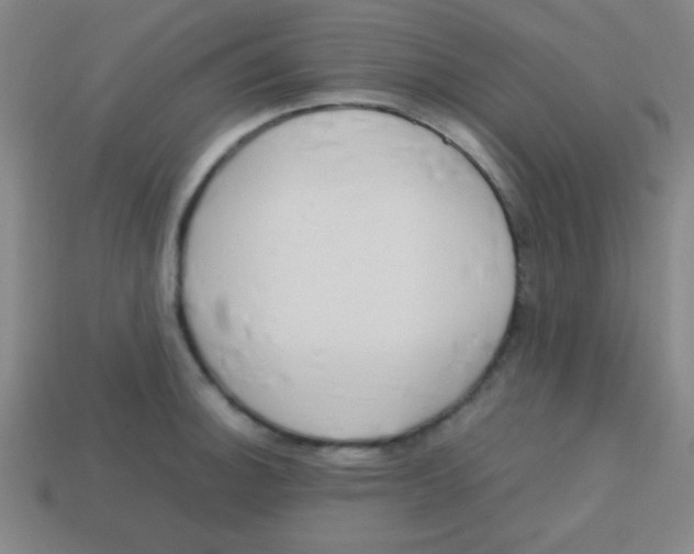 X0000113781140200910211200