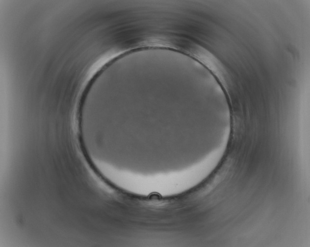 X0000113781141200910211200