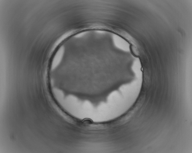 X0000113781142200910211200