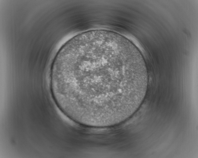 X0000113781143200910211200