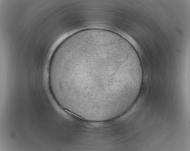 X0000113781144200910211200