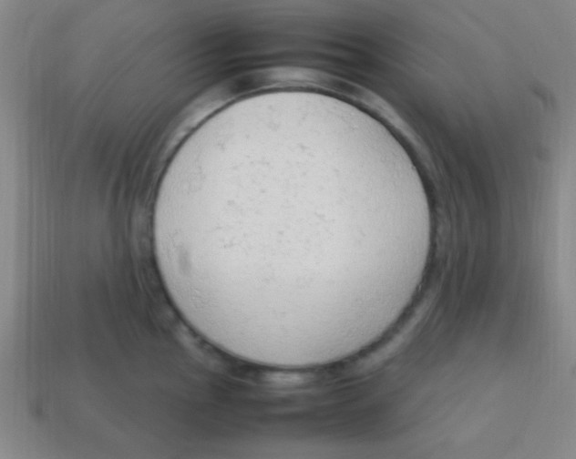 X0000113781145200910211200