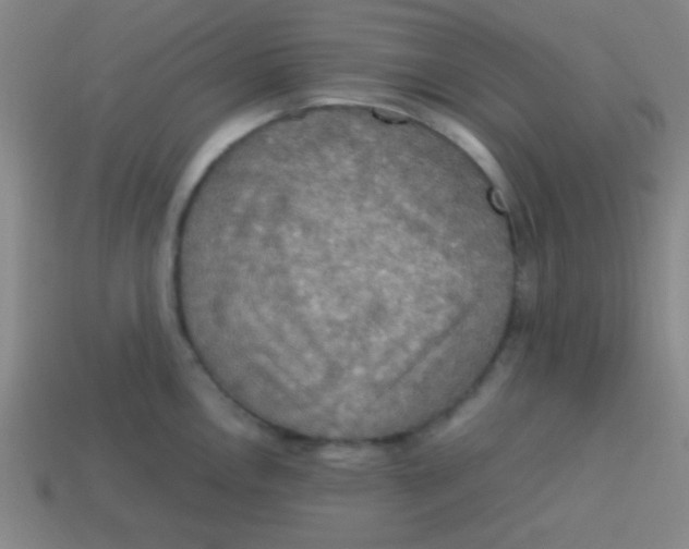 X0000113781146200910211200