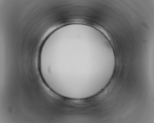 X0000113781147200910211200