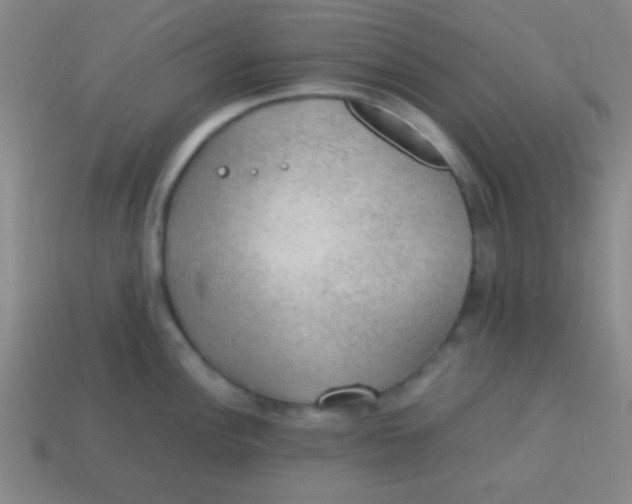 X0000113781148200910211200