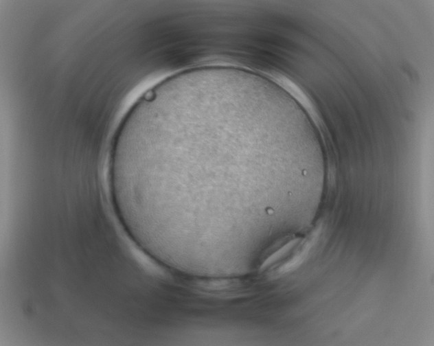 X0000113781149200910211200