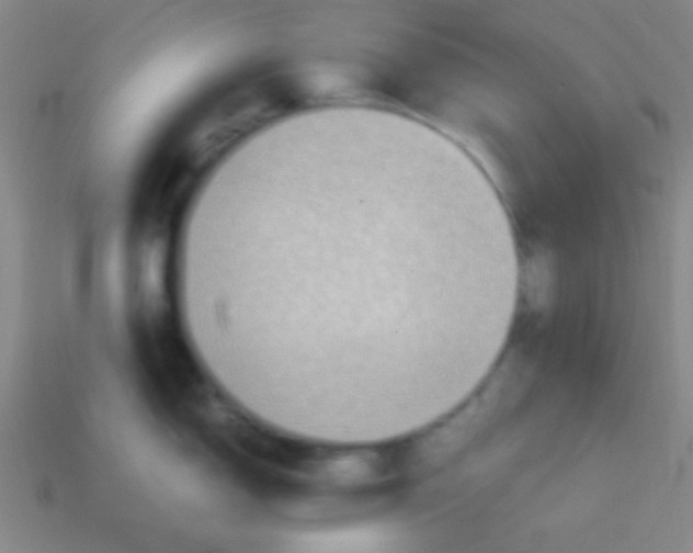 X0000113781150200910211200