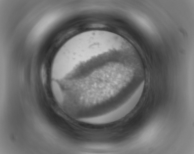 X0000113781151200910211200